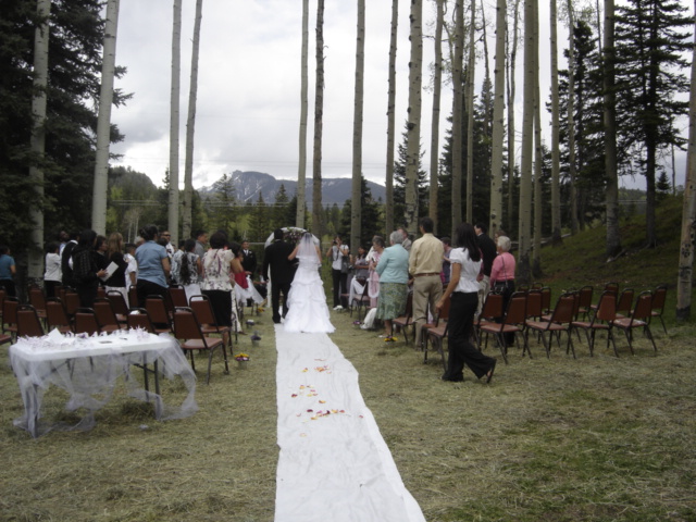 Weddings1.JPG